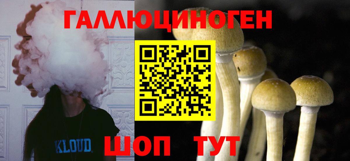 Псилоцибиновые грибы MAGIC MUSHROOMS Алейск
