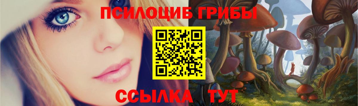 Алейск  Галлюциногенные грибы ЛСД  Вход с VPN 